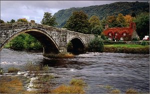Bridge